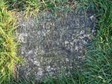 image of grave number 364767